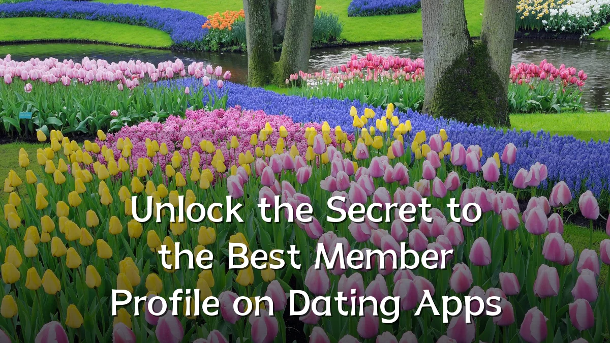 Unlock the Secret to the Best Member Profile on Dating Apps