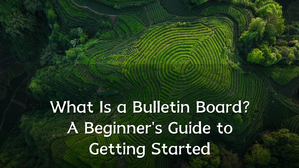 What Is a Bulletin Board? A Beginner's Guide to Getting Started