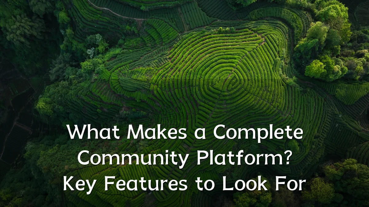 What Makes a Complete Community Platform? Key Features to Look For