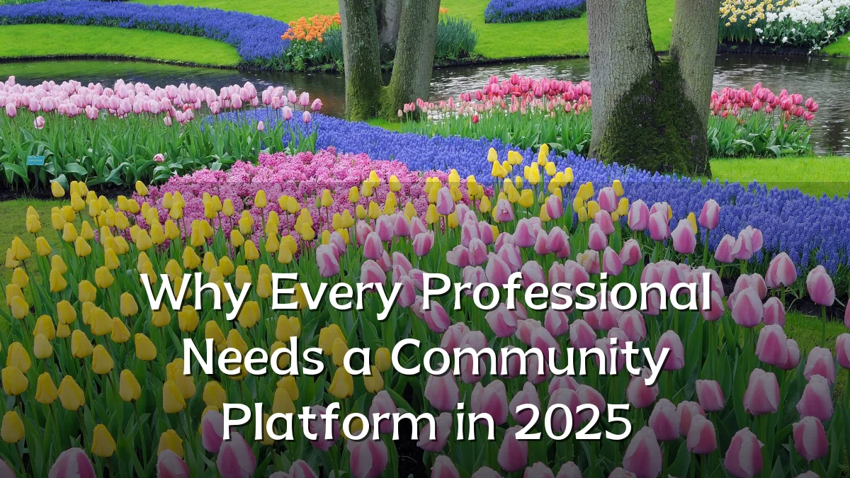 Why Every Professional Needs a Community Platform in 2025