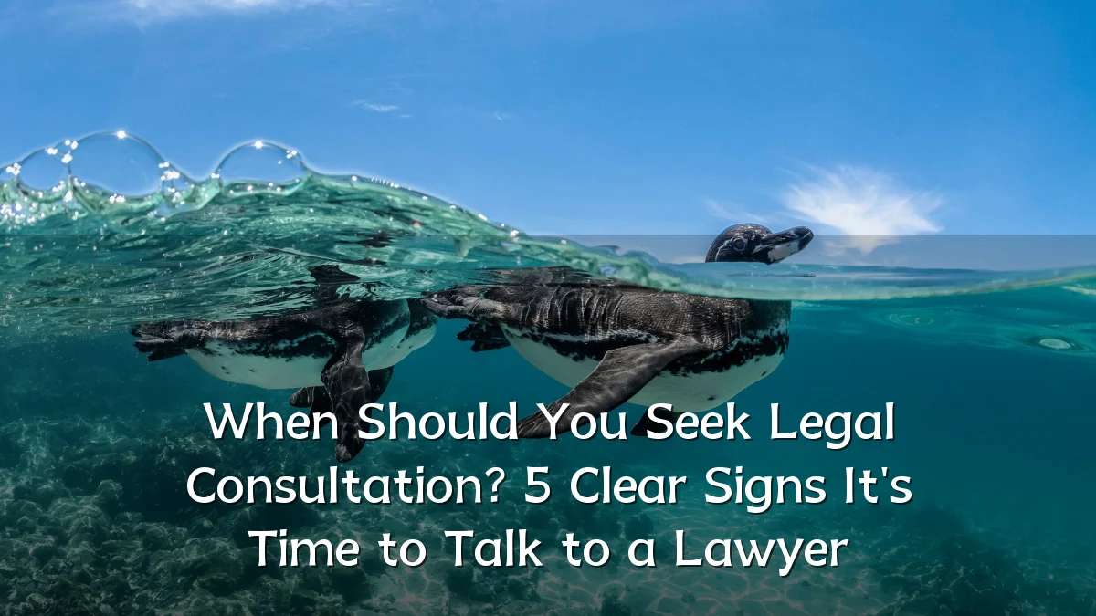When Should You Seek Legal Consultation? 5 Clear Signs It's Time to Talk to a Lawyer